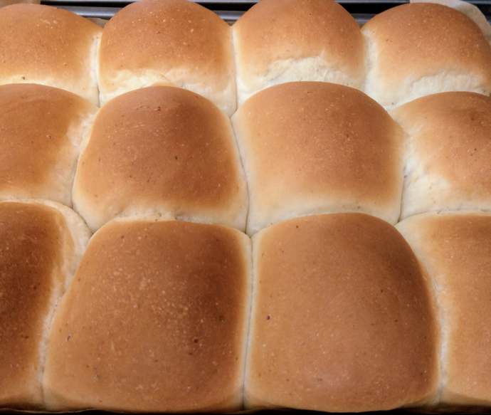 Plain Buns